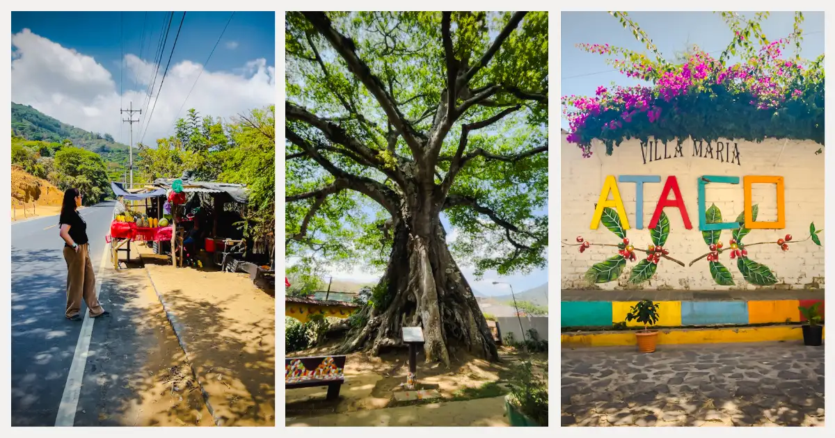 Local market and giant ceiba tree in Ruta de las Flores, El Salvador