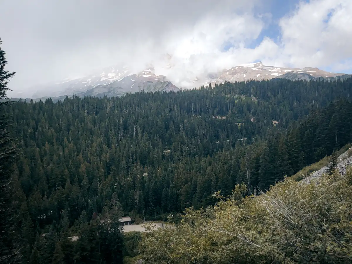 borroughs mountain trail at mount rainier national park