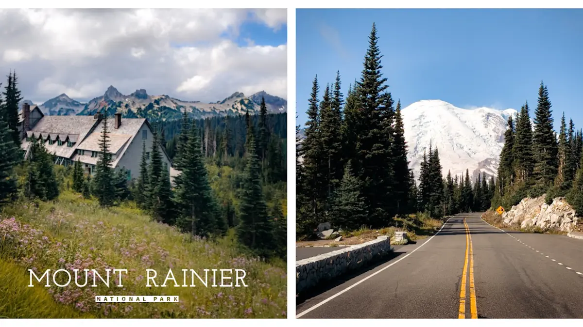Mount Rainier National Park alpine meadows during the summer mount rainier affordable alternative Switzerland travel